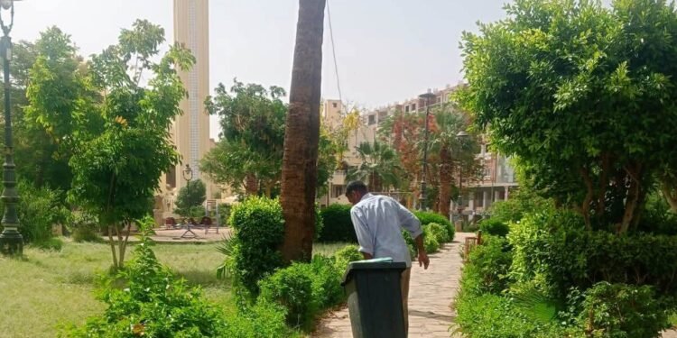 حملات مكثفة للنظافة والتجميل بأسوان وإدفو للإرتقاء بالمظهر الحضارى وتحسين الخدمات