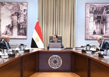 رئيس الوزراء يستعرض جهود تعزيز الربط والتبادل التجاري واللوجيستي مع الدول الإفريقية