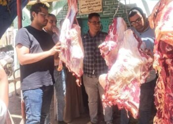 حملة مكبرة تسفر عن ضبط٣٢٠كيلو لحوم غير صالحه للإستهلاك الآدمى ببندر سوهاج والبلينا وجهينة