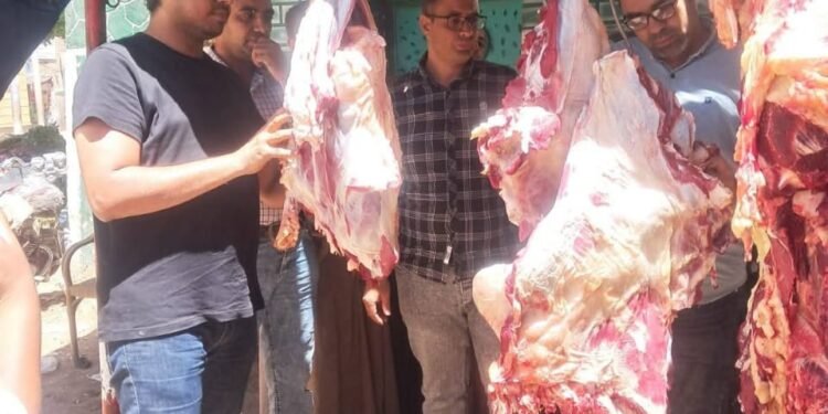 حملة مكبرة تسفر عن ضبط٣٢٠كيلو لحوم غير صالحه للإستهلاك الآدمى ببندر سوهاج والبلينا وجهينة