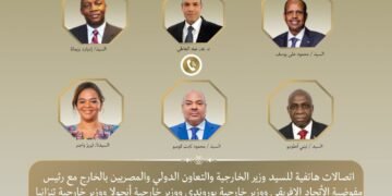 وزير الخارجية يبحث مع رئيس مفوضية الاتحاد الأفريقي وعدد من وزراء الخارجية الأفارقة أطر تعزيز العمل الأفريقي المشترك