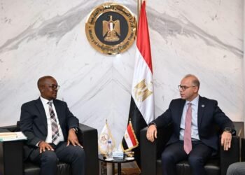 وزير الاستثمار والتجارة الخارجية يبحث مع نظيره الجنوب أفريقي تعزيز الشراكة الاقتصادية وتوسيع التكامل الاستثماري والتجاري بين البلدين