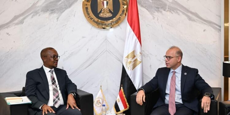 وزير الاستثمار والتجارة الخارجية يبحث مع نظيره الجنوب أفريقي تعزيز الشراكة الاقتصادية وتوسيع التكامل الاستثماري والتجاري بين البلدين