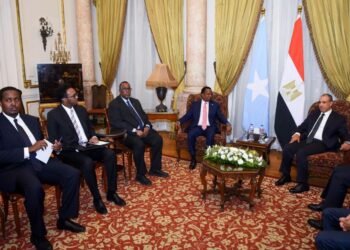 وزير الخارجية ونظيره الصومالي يبحثان سبل تعزيز العلاقات الثنائية وتطورات الأوضاع في منطقة القرن الأفريقي