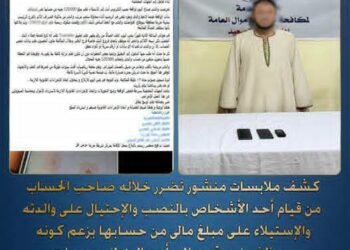 ضبط عاطل بالمنيا استولى على أموال مواطنة بسوهاج بزعم تحديث بياناتها البنكية