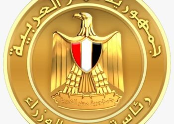 رئاسة الوزراء: حريق سفينتي دمياط سببه طائرة مسيرة ولم تعلن أي جهة مسؤوليتها