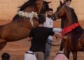 محمد العياف يثبت أن الصدق هو أبلغ محتوى