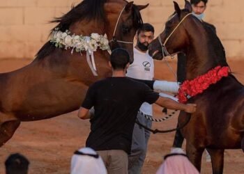 محمد العياف يثبت أن الصدق هو أبلغ محتوى