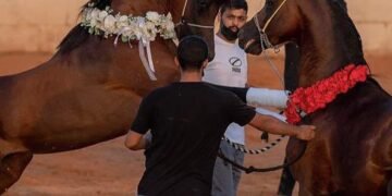 محمد العياف يثبت أن الصدق هو أبلغ محتوى