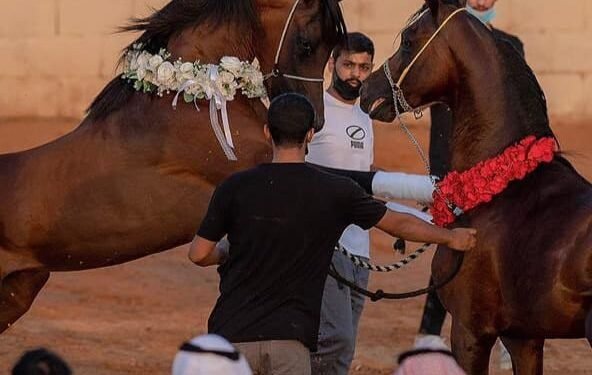 محمد العياف يثبت أن الصدق هو أبلغ محتوى