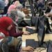 خبيرة تربوية: التنسيق 2026 يتطلب اختيار التخصص وفق الميول واحتياجات سوق العمل وتحذر من الكيانات غير المعتمدة