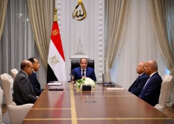 السيسي يتابع مشروعات الموانئ والقطار الكهربائي السريع ويؤكد: الالتزام بالجداول الزمنية وأعلى معايير الجودة