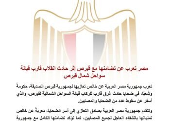 مصر تعرب عن تضامنها مع قبرص إثر غرق قارب قبالة سواحلها الشمالية