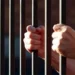 تجديد حبس ملحن شهير بتهمة حيازة 60 كيسًا من الكوكايين بالقاهرة الجديدة