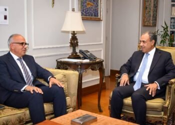 وزيرا الخارجية والري: التعاون وتنفيذ المشروعات أساس علاقات مصر مع دول حوض النيل