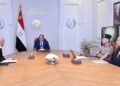 الرئيس السيسي يبحث مع رئيسة البنك الآسيوي للاستثمار سبل تعزيز التعاون في مشروعات البنية التحتية والطاقة