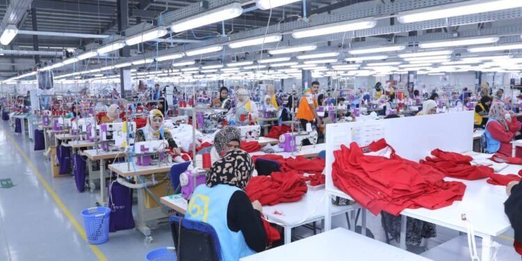 بعيداًعن السياسة..آيات مصطفى تكتب: تنمية الصعيد والإستثمار