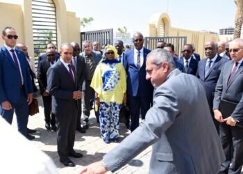 وزير الخارجية ورئيس شركة العاصمة الجديدة يصطحبان السفراء الأفارقة في جولة تفقدية بالعاصمة الجديدة