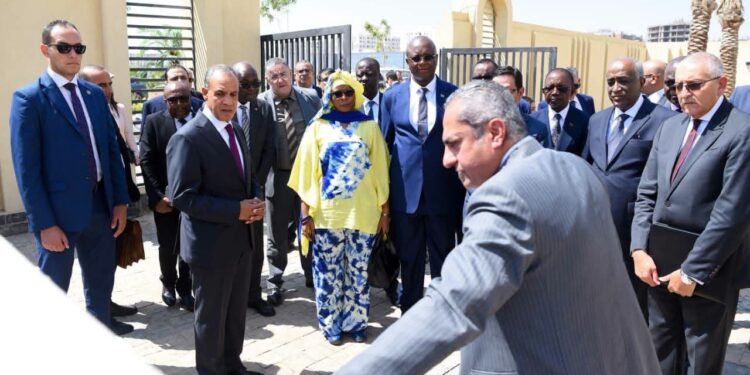 وزير الخارجية ورئيس شركة العاصمة الجديدة يصطحبان السفراء الأفارقة في جولة تفقدية بالعاصمة الجديدة