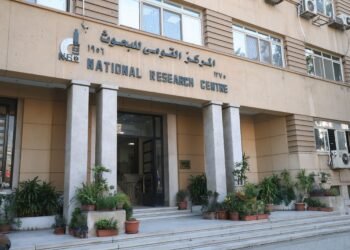 الدكتورة أمل أمين تحصد جائزة Profound Award الدولية
