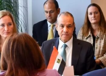 وزير الخارجية يؤكد ضرورة ضمان النفاذ الإنسانى المستدام إلى غزة