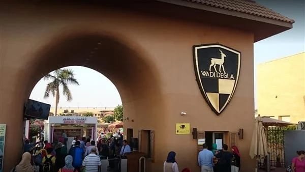 ولي أمر يتهم مدرب سباحة بدفع نجله على الأرض وإصابته خلال التدريب بنادي وادي دجلة بأكتوبر