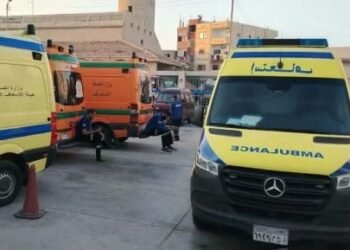 مصرع فتاة صدمتها سيارة في عين شمس