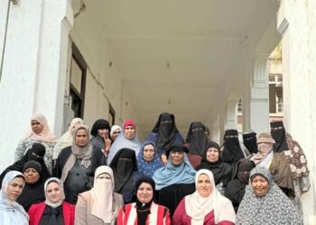 المجلس القومي للمرأة بكفر الشيخ ينظم برامج تدريبية