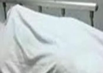 عاطل يقتل طليقته داخل مكتب محامى فى الإسكندرية.. والأمن يضبط الجانى