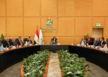 وزيرة الإسكان تتابع تقنين 139 ألف فدان بالمدن الجديدة وتوجه بتسريع فحص طلبات المواطنين