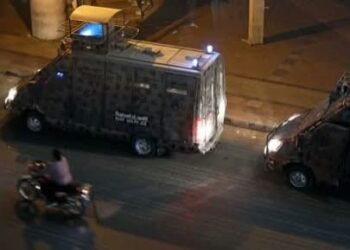 التحريات: المتهم بقتل شقيقه مريض نفسى ومزقه أجزاء فى مصر القديمة