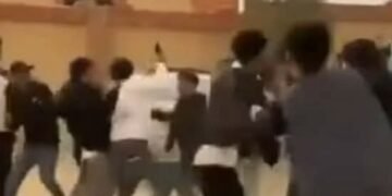 كشف ملابسات تشاجر مزراعين وعمال داخل أرض زراعية بالقليوبية